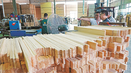 一樹興業(yè)，爭(zhēng)做道地“香杉人”——從南湖紅船看柳州杉木產(chǎn)業(yè)的傳承與創(chuàng)新